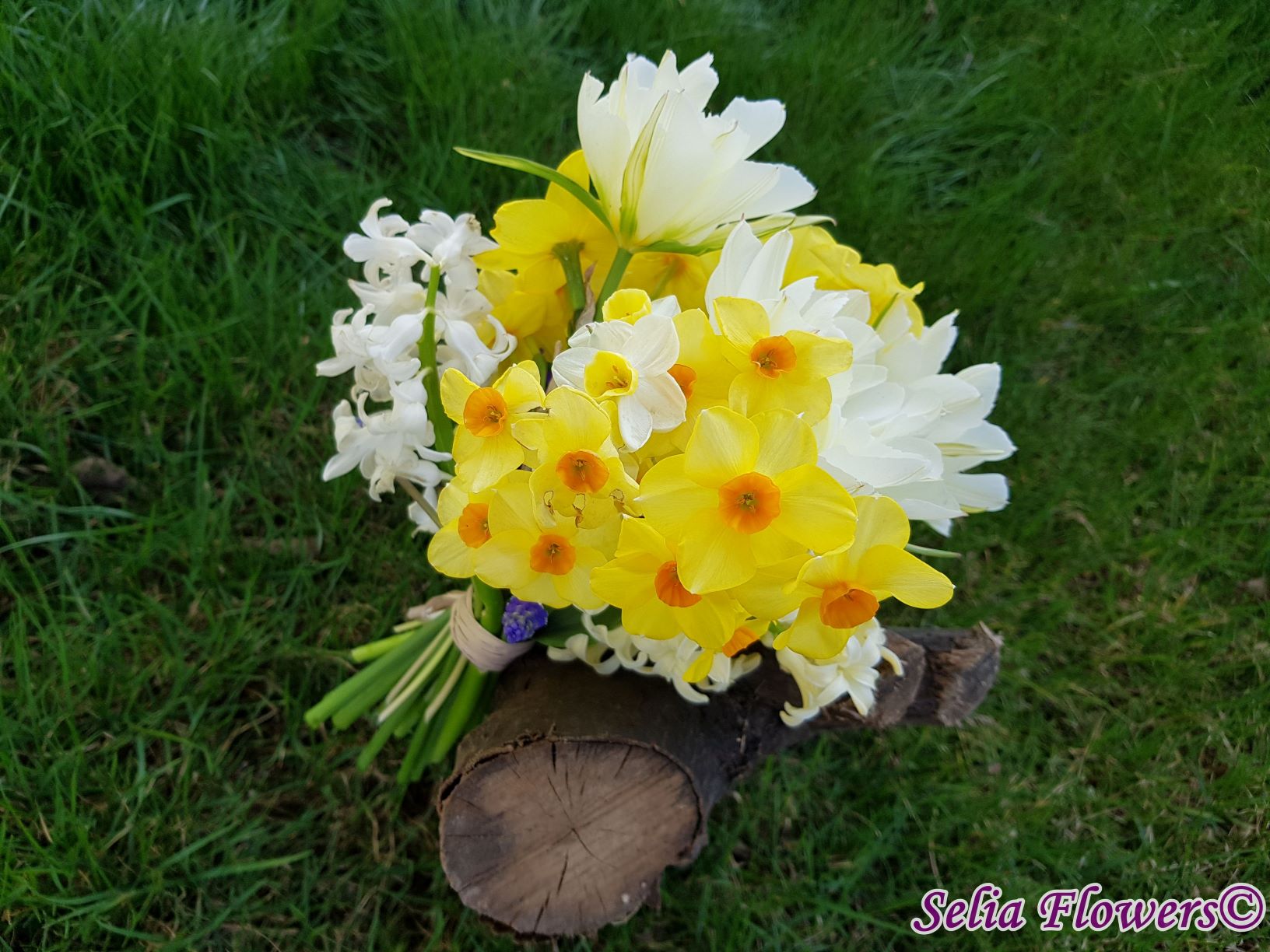 Pentru mediul de business