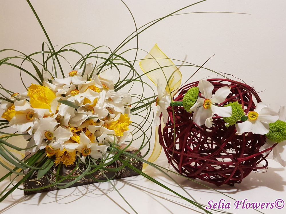 Narcisele, flori delicate cu simbolistică religioasă